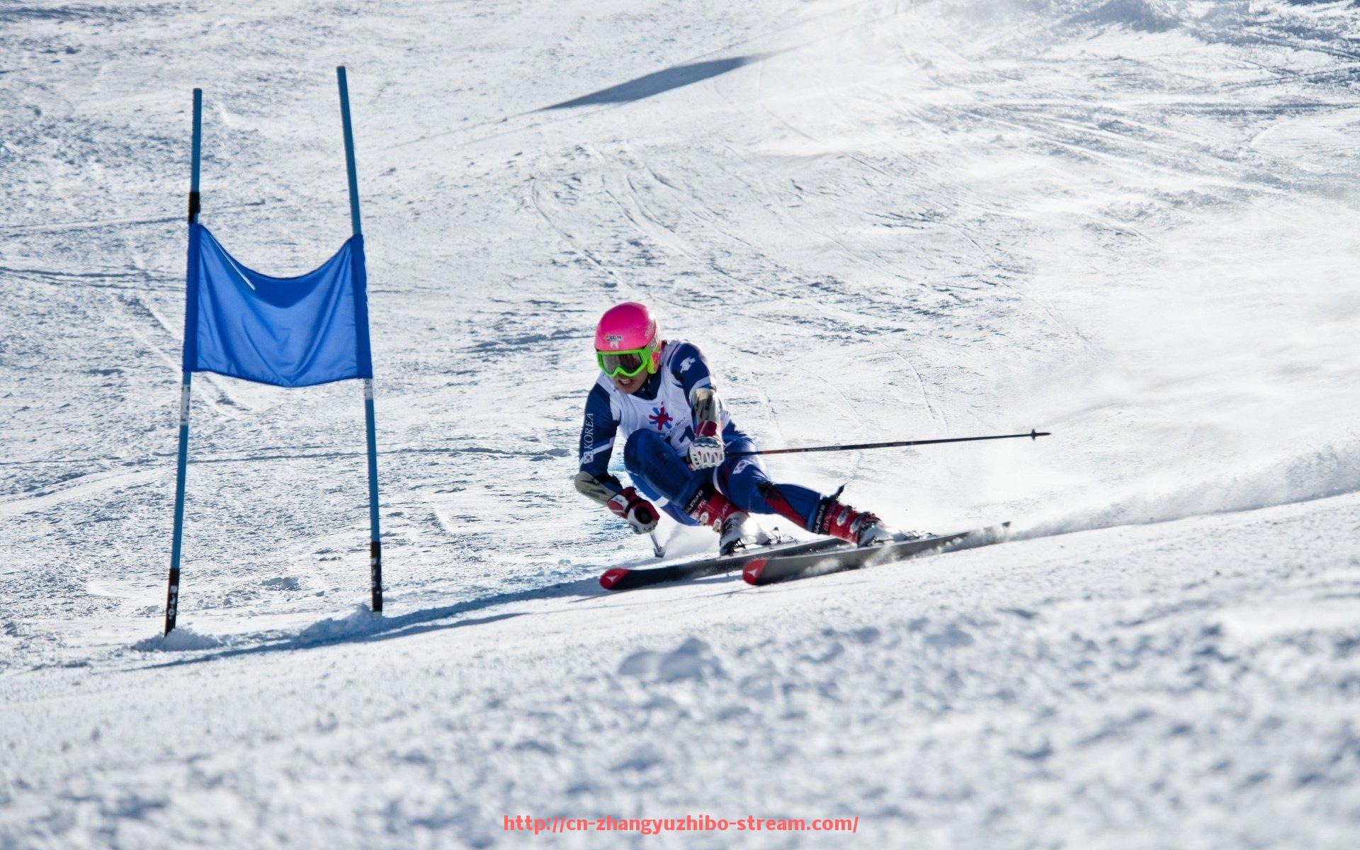 章鱼直播-火箭队13号球衣与队标图样分析及背后故事