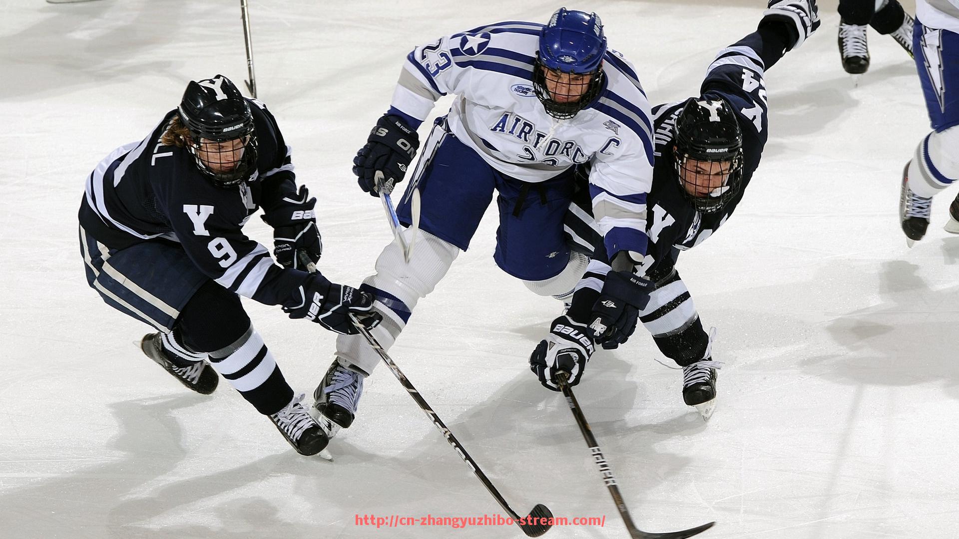 章鱼直播-亚冠联赛中的中超球队主场地址大全